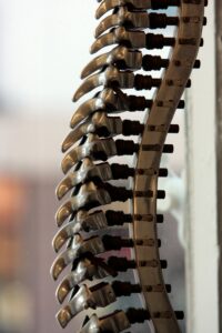 toukhy Best Spine pain treatment in Dubai